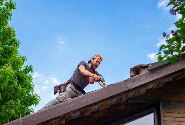 Best Siding Services  in East Dublin, GA